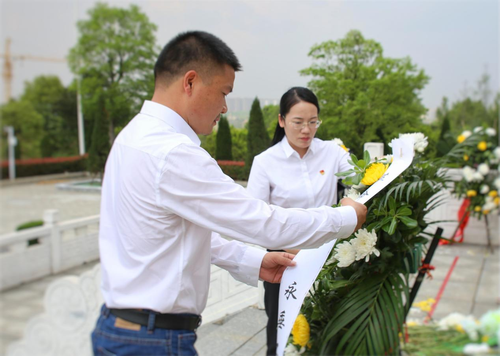 图片4 图片4
