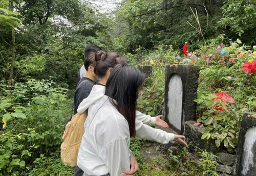图片2