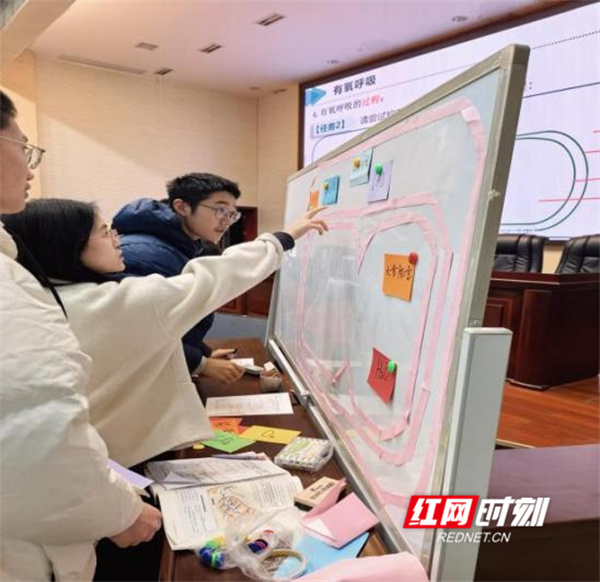 图片4.jpg