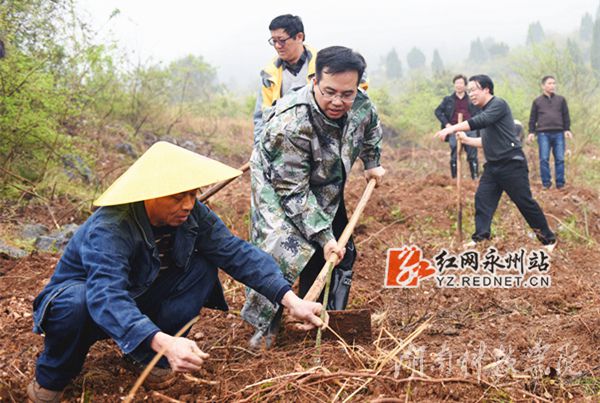 美加墨世界杯官方网站党委书记陈弘与潮水铺村村支书一同种下金槐树苗