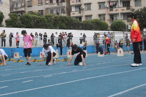 542A8310 542A8310