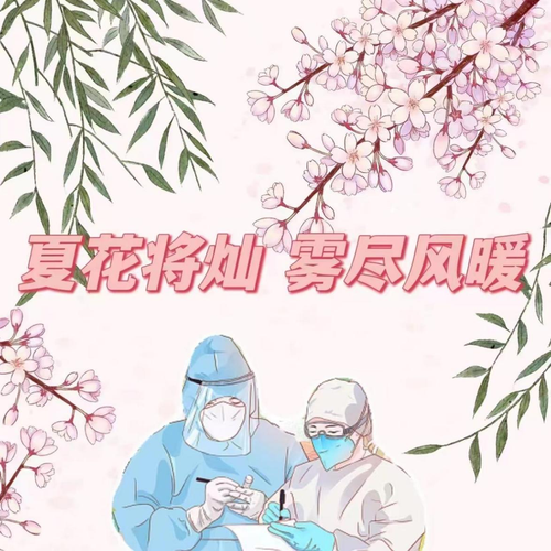 图片5