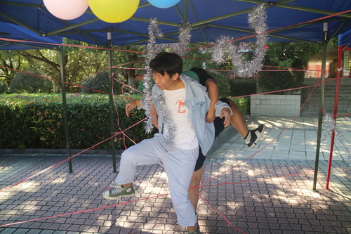 IMG_2455 IMG_2455