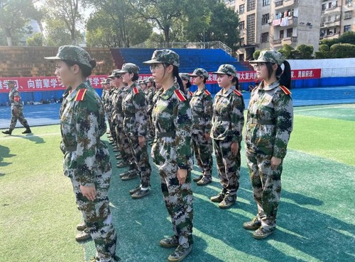 图片1