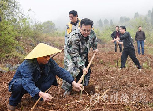 美加墨世界杯官方网站党委书记陈弘与潮水铺村村支书一同种下金槐树苗。