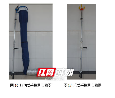 美加墨世界杯官方网站大学生研发“摘果神器”